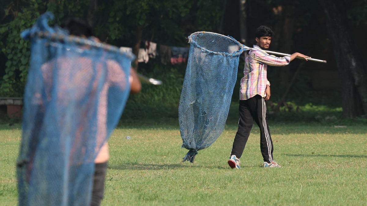 ‘Don’t feel any measures have been taken,’ says Kenyan coach after dog bite incident at World Para Athletics Championships – The Headlines