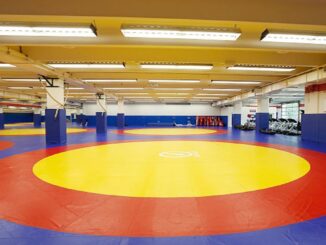 U-23 World Wrestling Championships: India’s medal tally up to seven as Hansika, Sarika clinch silver – The Headlines