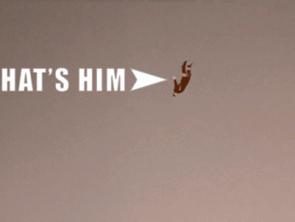 The Magic Moment When The 1990s Biggest Action Star Destroyed His Entire Career – The Headlines