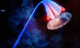 The Best Way To Watch Star Trek Isn’t In Order – The Headlines