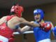 World Boxing Cup Finals, Day 3: Parveen, Arundhati among eight Indians to fight for gold – The Headlines