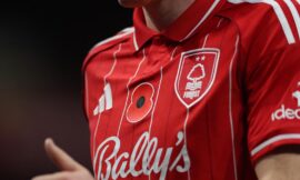 What is the red flower worn on shirts of Premier League teams? – The Headlines