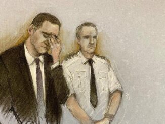 Man admits 31 criminal charges over Liverpool parade incident – The Headlines