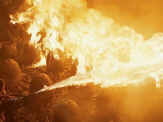 The Best Alien Movie Is Not The First One – The Headlines