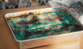 Lasagna Batteries Are Real, And Could Accidentally Show Up At Your Thanksgiving – The Headlines