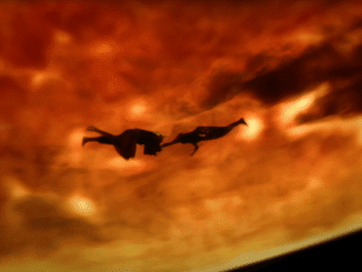 The Tragic Reason Farscape Lost The Soul Of Its Story – The Headlines